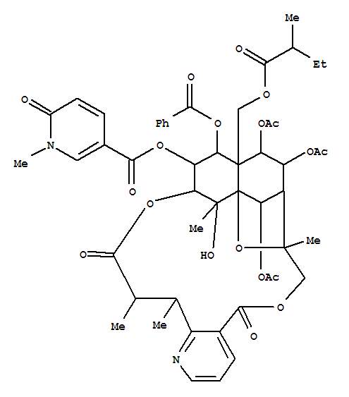 hippocrateine II
