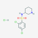 2,4-Dichloro-N-piperidin-3-yl-benzenesulfonaMide hydrochloride