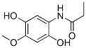 PROPANAMIDE,N-(2,5-DIHYDROXY-4-METHOXYPHENYL)-