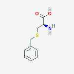[C10H13NO2S2]n