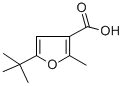 5-TERT-BUTYL-2-METHYLFURAN-3-CARBOXYLIC ACID