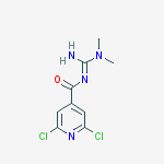 N'-[(2,6-DICHLOROPYRIDIN-4-YL)CARBONYL]-N,N-DIMETHYLGUANIDINE