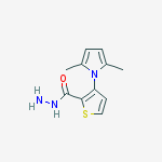 3-(2,5-DIMETHYL-1H-PYRROL-1-YL)-2-THIOPHENECARBOHYDRAZIDE