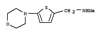 N-METHYL-N-[(5-MORPHOLIN-4-YLTHIEN-2-YL)METHYL]AMINE