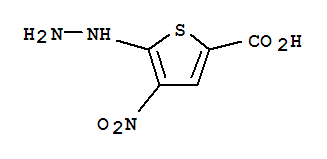 2-Thiophenecarboxylicacid, 5-hydrazinyl-4-nitro-