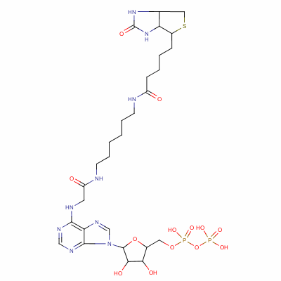 biotinyl-adenoside diphosphate molecular structure