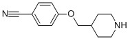 4-(Piperidin-4-ylmethoxy)-benzonitrile molecular structure